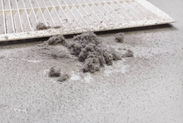 Best Ductwork Cleaning Services  in Wonder Lake, IL